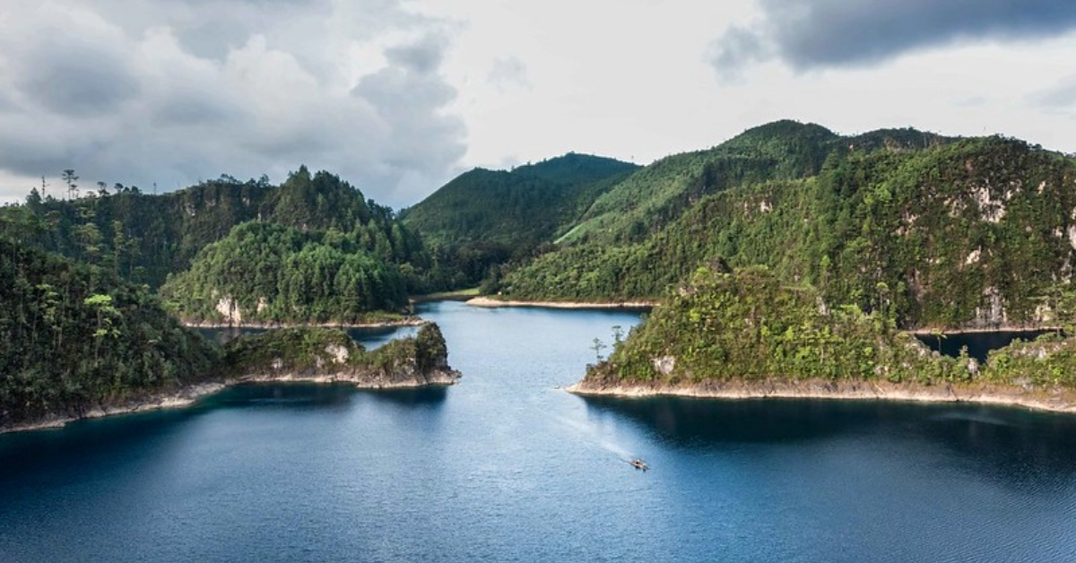 Comunidades rurales y los bosques de México afectados por la deforestación.